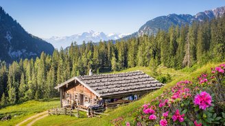 Urlaub Österreich mit Rotala - Alm bei Salzburg