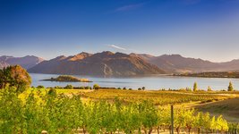 Rundreisen nach Ozeanien mit Rotala - Weinregion Neuseeland